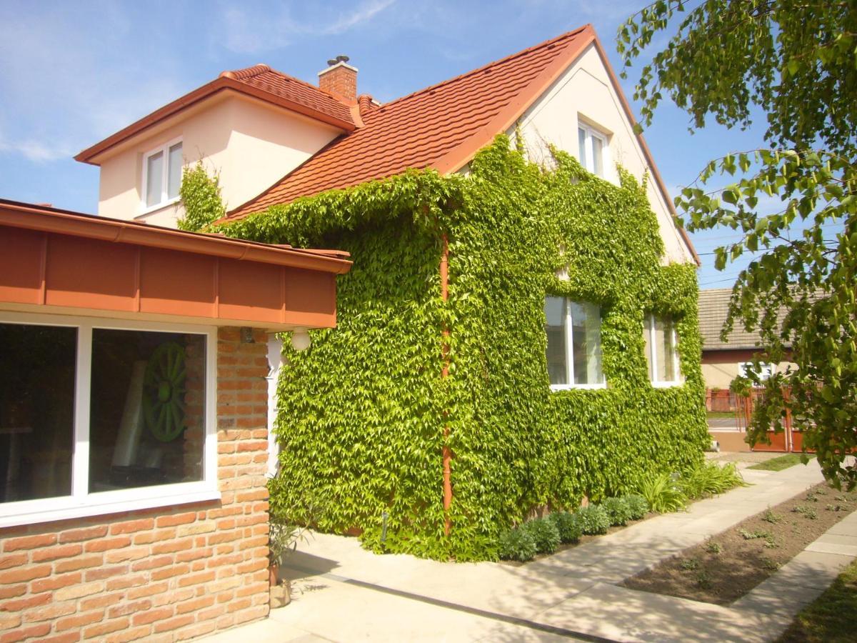 Vinny Dom - Rumcajz - Borhaz Obid Exterior photo